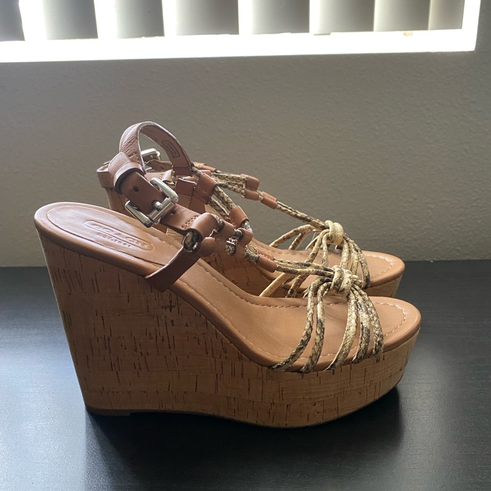 Coach Georgina Wedge - multi